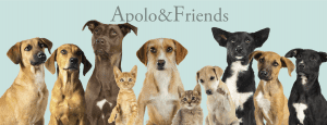 Apolo&Friends_Protección Animal_Reportaje_Blog_Lolina Rivas