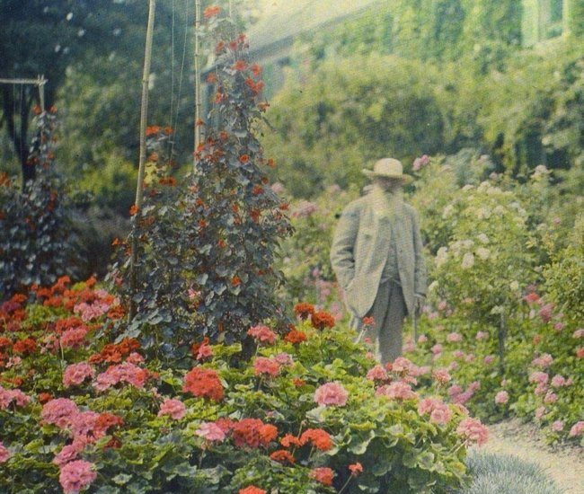 El impresionismo y las flores de Monet